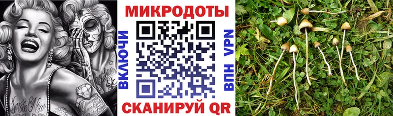 купить  цена  Спасск-Дальний  Псилоцибиновые грибы Magic Shrooms 